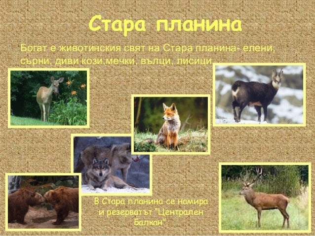 старопланинска област