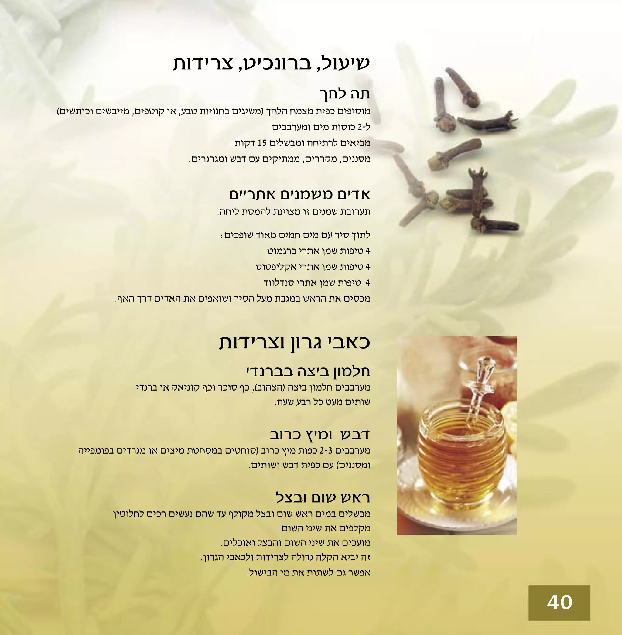 טיפולים טבעיים לשפעת