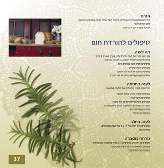 טיפולים טבעיים לשפעת