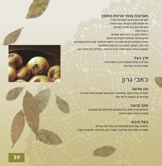 טיפולים טבעיים לשפעת