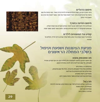 טיפולים טבעיים לשפעת