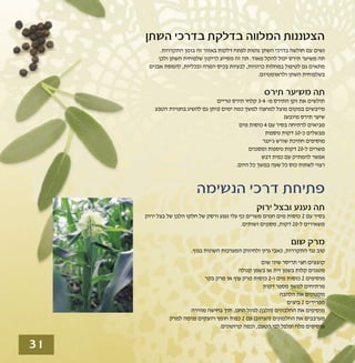 טיפולים טבעיים לשפעת