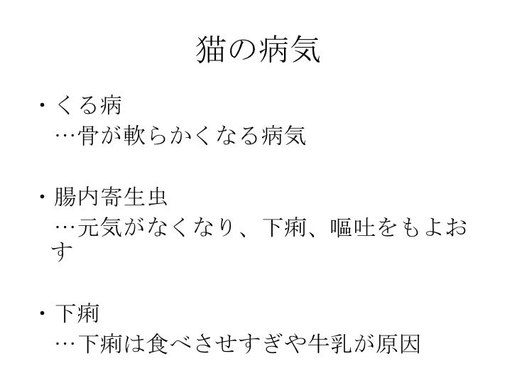動物の面白い習性 動物の面白い習性