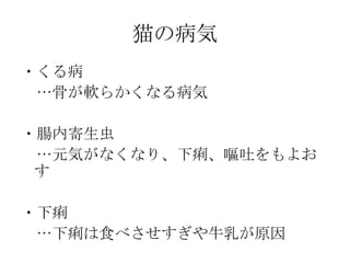 猫の病気 ・くる病 　…骨が軟らかくなる病気 ・腸内寄生虫 　…元気がなくなり、下痢、嘔吐をもよおす ・下痢 　…下痢は食べさせすぎや牛乳が原因 
