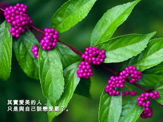 其實愛美的人， 只是與自己談戀愛罷了。   