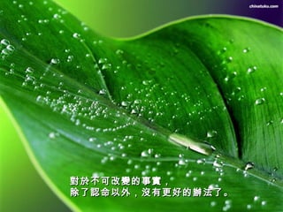 對於不可改變的事實， 除了認命以外，沒有更好的辦法了。   