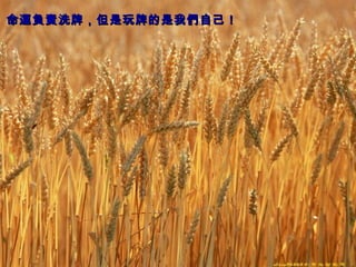 命運負責洗牌，但是玩牌的是我們自己！   