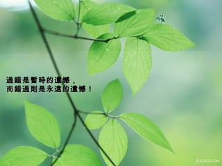 過錯是暫時的遺憾， 而錯過則是永遠的遺憾！   