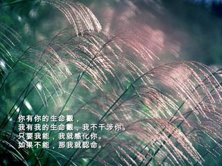 你有你的生命觀， 我有我的生命觀，我不干涉你。 只要我能，我就感化你。 如果不能，那我就認命。   