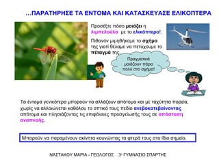 Προσέξτε πόσο  μοιάζει  η  λιμπελούλα   με το  ελικόπτερο !. Πιθανόν μιμηθήκαμε το  σχήμα  της γιατί θέλαμε να πετύχουμε το  πέταγμά  της.  Τα έντομα γενικότερα μπορούν να αλλάζουν απότομα και με ταχύτητα πορεία, χωρίς να αλλοιώνεται καθόλου το οπτικό τους   πεδίο  ανεβοκατεβαίνοντας  απότομα και πλησιάζοντας τις επιφάνειες προσγείωσής τους σε  απόσταση αναπνοής. ΝΑΣΤΑΚΟΥ ΜΑΡΙΑ - ΓΕΩΛΟΓΟΣ  3 ο  ΓΥΜΝΑΣΙΟ ΣΠΑΡΤΗΣ … ΠΑΡΑΤΗΡΗΣΕ ΤΑ ΕΝΤΟΜΑ ΚΑΙ ΚΑΤΑΣΚΕΥΑΣΕ ΕΛΙΚΟΠΤΕΡΑ Μπορούν να παραμένουν ακίνητα κουνώντας τα φτερά τους στο ίδιο σημείο. Πραγματικά μοιάζουν πάρα πολύ στο σχήμα! 