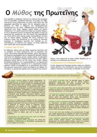 χορτοφαγικός οδηγός