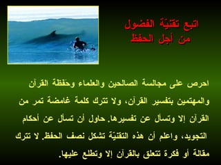 احرص على مجالسة الصالحين والعلماء وحَفَظَة القرآن والمهتمين بتفسير القرآن، ولا تترك كلمة غامضة تمر من القرآن إلا وتسأل عن تفسيرها .  حاول أن تسأل عن أحكام التجويد، واعلم أن هذه التقنيّة تشكل نصف الحفظ .  لا تترك مقالة أو فكرة تتعلق بالقرآن إلا وتطلع عليها .   اتبع تقنيّة الفضول من أجل الحفظ 