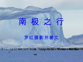 南 极 之 行 罗红摄影并著文 