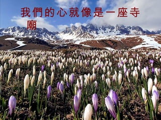 我們的心就像是一座寺廟   