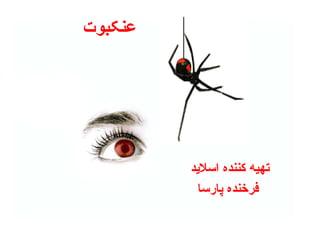 عنکبوت تهیه کننده اسلاید  فرخنده پارسا 
