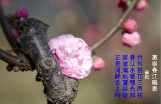 　 惠崇春江 曉 景 蘇軾 竹外桃花三两枝 春江水暖 鴨 先知 蒌蒿滿 地蘆芽短 正是河豚欲上時   