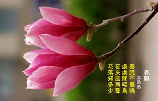 　 春曉　 　　 孟浩然   春眠不 覺 曉  處處聞啼鳥  夜來風雨聲  花落知多少   