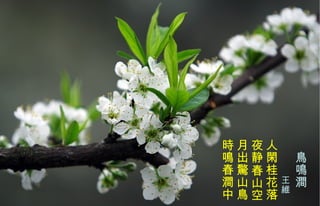 　 鳥鳴澗 　　　 王 維   人閑桂花落  夜静春山空 月出 驚 山鳥  時鳴春澗中   