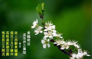 黄 鶴 楼送 孟浩然之廣陵 李白 故人西辭黄 鶴樓 烟花三月下揚州 孤帆遠影碧空盡 惟見 長 江天際流   