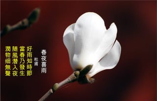 春夜喜雨　 杜甫   好雨知時節  當春乃發生  随風潛入夜 潤物细無聲 