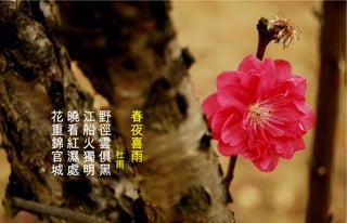 春夜喜雨 　　　 杜甫 野徑 雲 俱黑  江船火獨明  曉看 紅 濕處  花重錦官城   