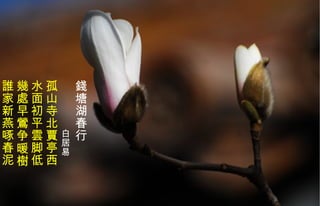 錢 塘湖春行 　　　　 白居易   孤山寺北賈亭西 水面初平 雲 脚低  幾處早鶯争暖樹 誰家新燕啄春泥   