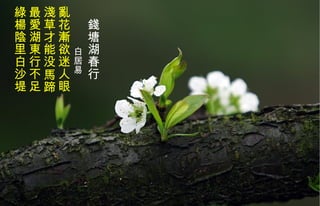 　 錢 塘湖春行 　　　  白居易   亂花漸欲迷人眼 淺 草才能没馬蹄 最 愛 湖東行不足 綠 楊陰里白沙堤   