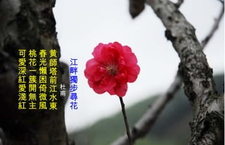 　 江畔 獨 步 尋 花 　　　　 杜甫 黄師塔前江水東 春光 懶 困倚微風 桃花一簇開無主 可 愛 深 紅愛 淺 紅   