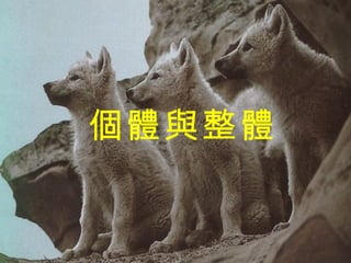 個體與整體 