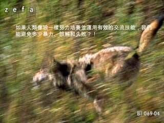 如果人類像狼一樣努力培養並運用有效的交流技能，我們能避免多少暴力、誤解和失敗？！ 