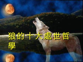 狼的十大處世哲學 