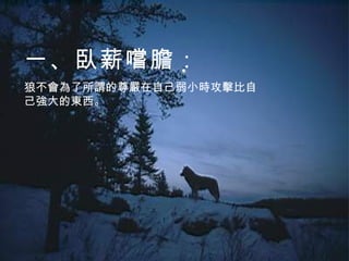 一、臥薪嚐膽： 狼不會為了所謂的尊嚴在自己弱小時攻擊比自己強大的東西。 