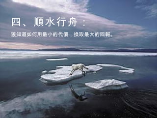 四、順水行舟： 狼知道如何用最小的代價，換取最大的回報。 