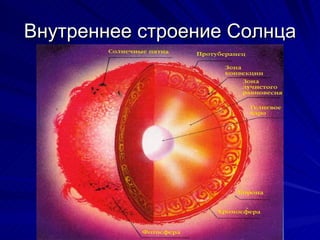 Внутреннее строение Солнца 