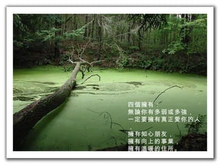 四個擁有： 無論你有多弱或多強， 一定要擁有真正愛你的人， 擁有知心朋友， 擁有向上的事業， 擁有溫暖的住所。 