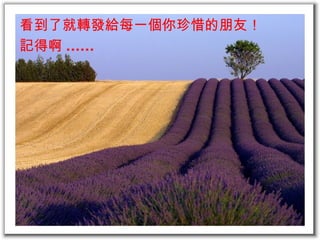 看到了就轉發給每一個你珍惜的朋友！ 記得啊 ...... 