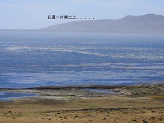 在這一片樂土上 、、、、、 