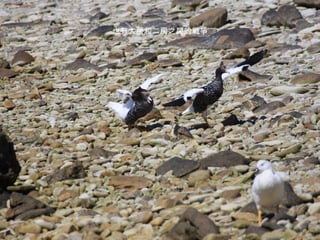 也有大房和二房之間的戰爭 