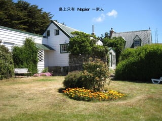 島上只有  Napier  一家人 