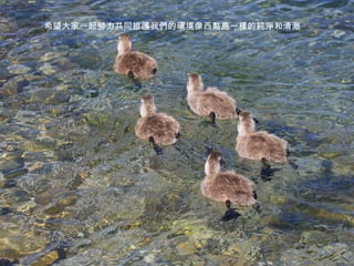 希望大家一起努力共同維護我們的環境像西點島一樣的純淨和清澈 