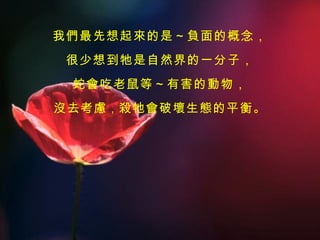 我們最先想起來的是～負面的概念， 很少想到牠是自然界的一分子， 蛇會吃老鼠等～有害的動物， 沒去考慮 ， 殺牠會破壞生態的平衡。 