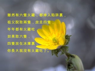 雖然有六隻火雞，都掉入陷阱裏， 祖父說取兩隻，放走四隻， 年年都有火雞吃， 如果取六隻， 四隻放在冰庫裏， 你長大就沒有火雞吃了。 