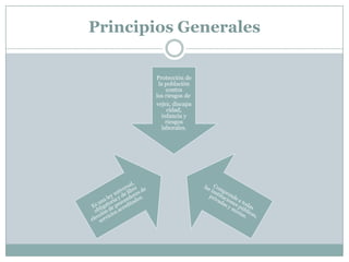 Principios Generales
Protección de
la población
contra
los riesgos de
vejez, discapa
cidad,
infancia y
riesgos
laborales.

 