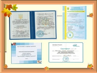 портфоліо