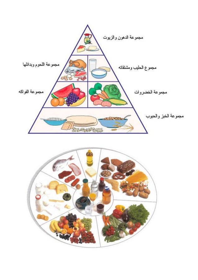 أغذية الطاقة والبناء والنمو والوقاية من الامراض -1-638