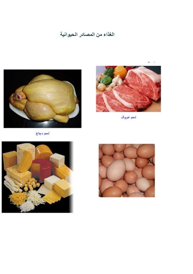 أغذية الطاقة والبناء والنمو والوقاية من الامراض -6-638