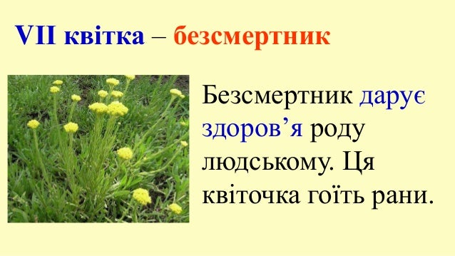 речення з прямою мовою з схемою