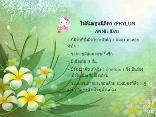 ไฟลัมแอนนิลิดา (PHYLUM
ANNILIDA)
- ที่มีหัวที่ซึ่งมีอวัยวะสาคัญ ( สมอง คอหอย
หัวใจ )
- ร่างกายมีสมมาตรครึ่งซีก
- มีเนื้อเยื่อ 3 ชั้น
- มีช่องลาตัวเเท้จริง ( coelom ) ซึ่งเป็นช่อง
ลาตัวในเนื้อเยื่อมีโซเดิร์ม
- ระบบประสาทประกอบด้วย ปมสมองที่หัว 1 คู่
และ เส้นประสาทใหญ่ด้านท้อง
 