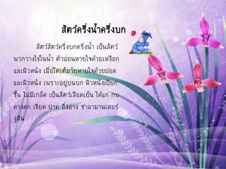 สัตว์ครึ่งน้าครึ่งบก
สัตว์สัตว์ครึ่งบกครึ่งน้า เป็นสัตว์
พวกวางไข่ในน้า ตัวอ่อนหายใจด้วยเหงือก
และผิวหนัง เมื่อโตเต็มวัยหายใจด้วยปอด
และผิวหนัง เพราะอยู่บนบก ผิวหนังเปียก
ชื้น ไม่มีเกล็ด เป็นสัตว์เลือดเย็น ได้แก่ กบ
คางคก เขียด ปาด อึ่งอ่าง ซาลามานเดอร์
งูดิน
 