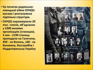 • На початок радянсько-
німецької війни ОУН(Б)-
масова і розгалужена
підпільна структура.
• ОУН(Б) нараховувала 20
тис. членів, об’єднаних
у 3300 низових
організаціях (станицях).
З них - 2190 станиць
припадало на Галичину,
950 - на Волинь, 160 - на
Буковину, Бессарабію і
Наддніпрянську Україну
 